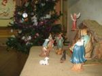 IMG_2863-sb.jpg