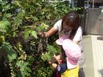 IMG_0974-sb.jpg