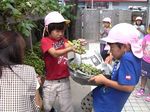 IMG_0994-sb.jpg