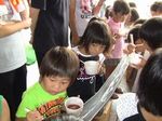 IMG_1290-sb.jpg