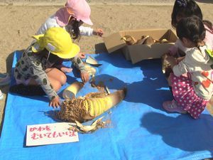 IMG_2199-sb.jpg