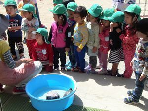IMG_2330-sb.jpg