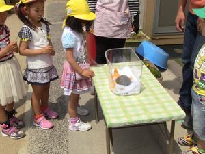 IMG_2667-sb.jpg