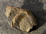 IMG_3054-sb.jpg