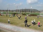 IMG_3273-sb.jpg