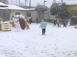 IMG_3336-sb.jpg
