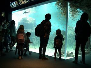 IMG_3352-sb.jpg