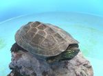 IMG_4157-sb.jpg