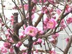 IMG_8247-sb.jpg