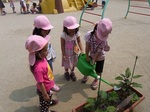 RIMG0288.JPG